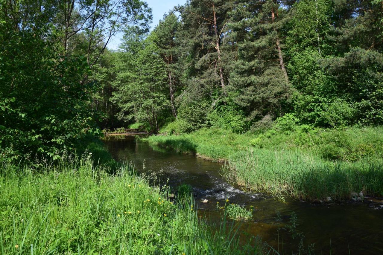 Stary Janow - Pensjonat Staporkow Exteriör bild